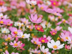 -东山湖公园