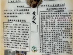 -青藏高原野生动物园