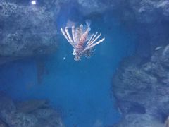 -临沂极地海洋王国