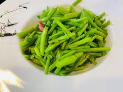 炒水芹-集贤门·徽菜(南山店)