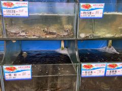-北港方记海鲜楼·海景餐厅