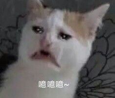 -蛙小侠(珠海华发商都店)