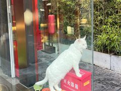 -府学·秋果S酒店(北京南锣鼓巷四合院店)