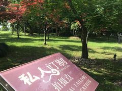-苏州金鸡湖大酒店