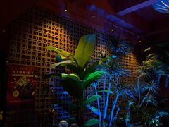 -泰适SPA馆丨精油·按摩·足道(购物公园店)