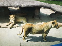 -北京野生动物园