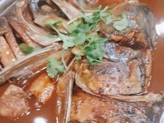 -邵年鸽(杨庄店)