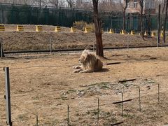 -秦皇岛野生动物园