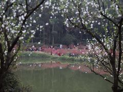 -南国桃园旅游度假区