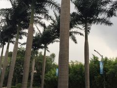 -西安国际创新人才交流中心•药浴温泉