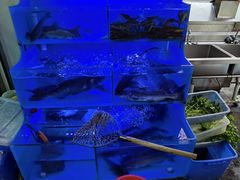 -韩妹鱼庄·泸定老字号(泸定店)