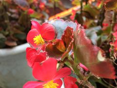 -乐山大佛风景名胜区乌尤寺南门-售票点