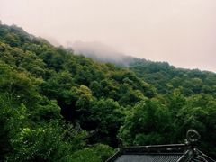 -韬光茶庵