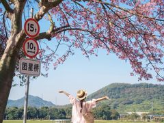 -风云岭森林公园