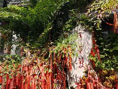 -海南文笔峰盘古文化旅游区
