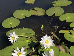 -云溪植物园