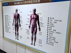 -通透堂中医·精准推拿(旗舰店)