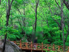 -大岭沟猕猴桃谷风景区