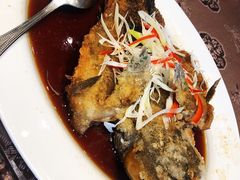 -上海新锦江大酒店