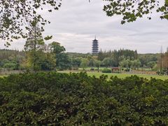 -宜兴龙背山森林公园