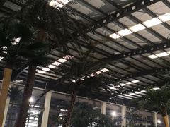 -南宫温泉水世界