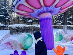 -沈阳奥体冰雪嘉年华