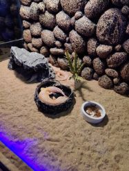 -未来动物城动物主题公园(大悦城店)