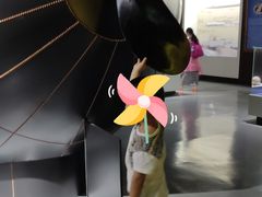 -贝壳王国博物馆