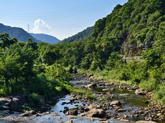 -北仑森林植物园