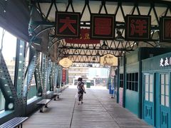 -武汉知音号