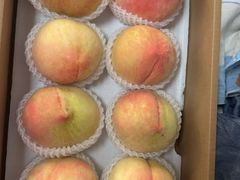 -南汇新场正宗水蜜桃采摘