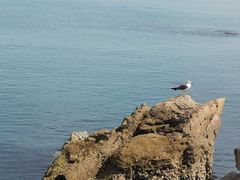 -海东头·疙瘩汤(万达四楼店)