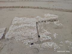 -贝壳沙滩