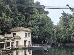 -云南屏边大围山国家公园