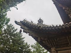 -张掖大佛寺景区