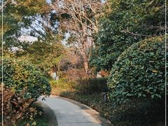 -杭州城北体育公园