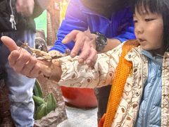 -上海大自然野生昆虫馆(东方明珠·爬宠昆虫探索中心)