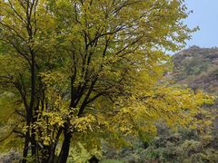 -云峰山自然风景区