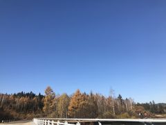 -汤旺河林海奇石景区