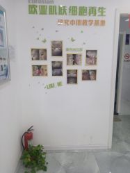 -莱可美科技美肤