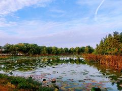 -艾溪湖湿地公园