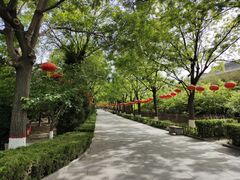 -大槐树寻根祭祖园