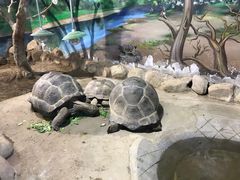 -太原动物园