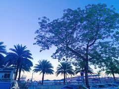 -旺富东海大酒楼(海鲜街店)