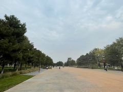 -汉长安城未央宫国家考古遗址公园