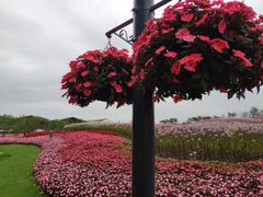 -东平国家森林公园