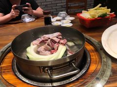 -南海鸽天下(肇庆店)