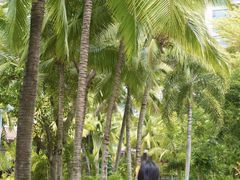 -三亚湾海居铂尔曼度假酒店