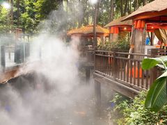 -二荆条·蜀鲜汇城市森林火锅