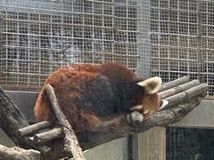 -青岛动物园